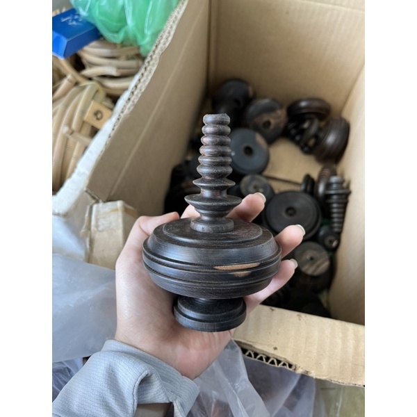 Nậm mun cho mi, mào, khuyên, chòe