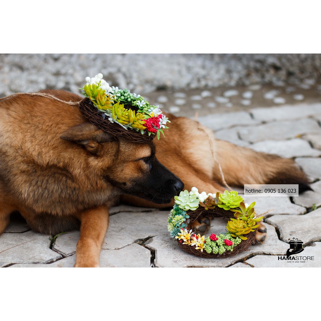 VÒNG TREO CỬA TẾT NGUYÊN ĐÁN NHÂM DẦN 2022 VỚI 2 VÒNG NGUYỆT QUẾ NHỎ