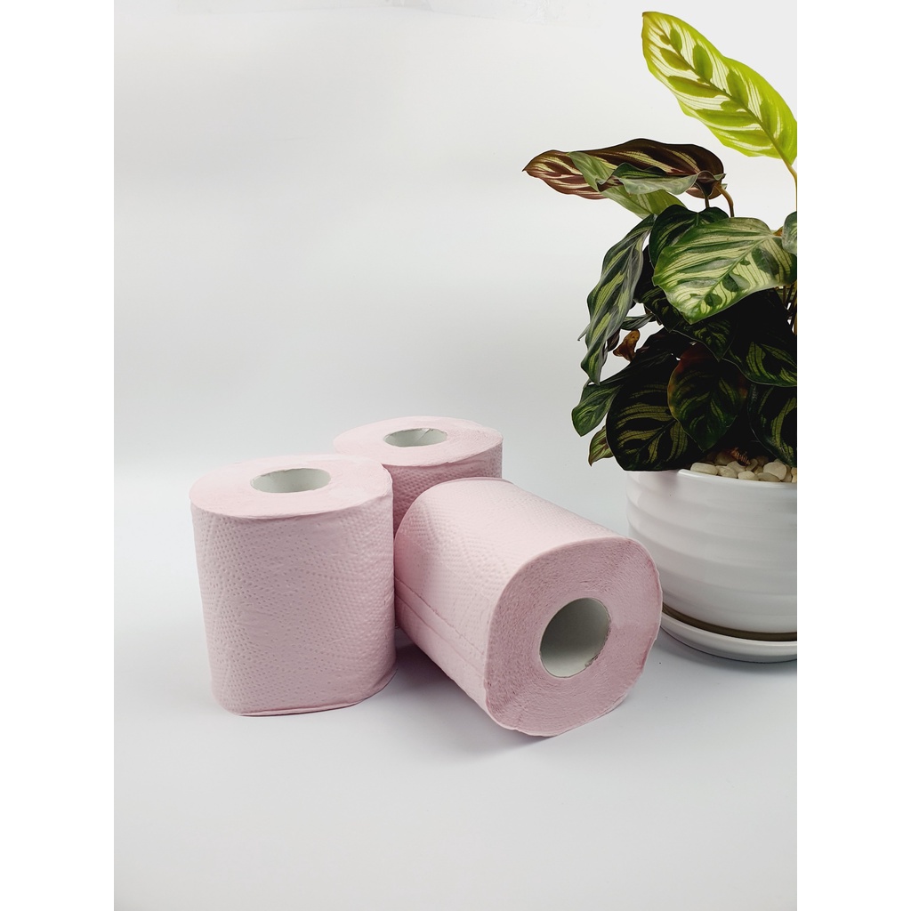 Giấy vệ sinh Eco Color 18 cuộn Nhật Bản, giấy vệ sinh tiện dụng