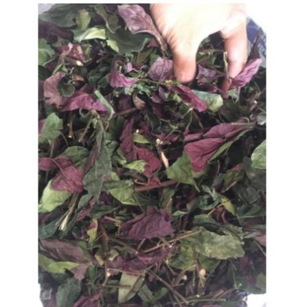 500gr Đơn lá đỏ khô hàng chuẩn xịn