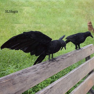 Quạ đen nhân tạo phối lông vũ trang trí sân vườn lễ Halloween