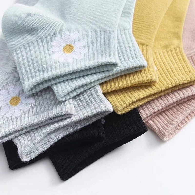 Set 10 đôi vớ Hoa cúc/Gấu/mèo hot trend