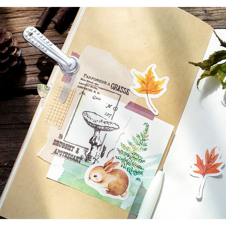 Hộp 46 miếng sticker mẫu con sóc và khu rừng mùa thu