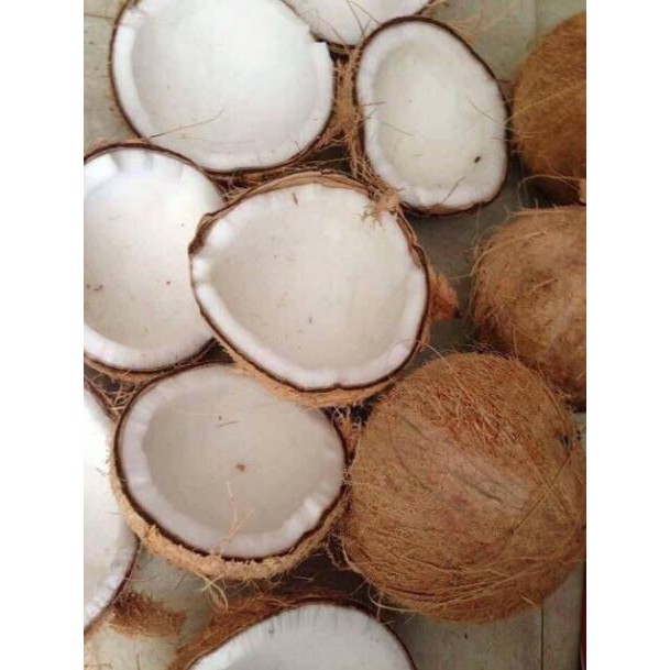 1 Cây Lăn môi dầu dừa 100% nguyên chất nhà nấu thơm | BigBuy360 - bigbuy360.vn