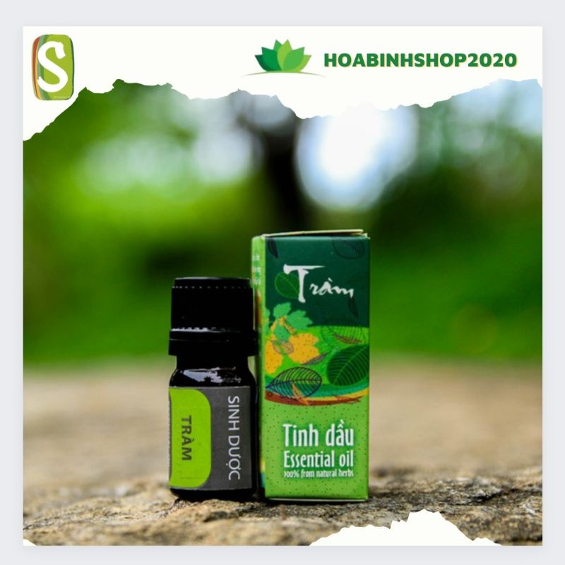 [CHÍNH HÃNG] Tinh dầu Tràm gió 5ml HTX Sinh Dược