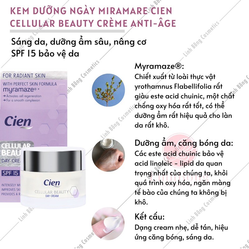 KEM DƯỠNG NGÀY VÀ ĐÊM VÀ SERUM CHỐNG LÃO HÓA CIEN CELLULAR BEAUTY