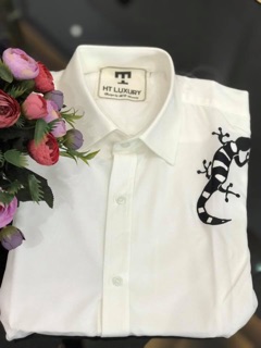Combo áo trắng 100/2c