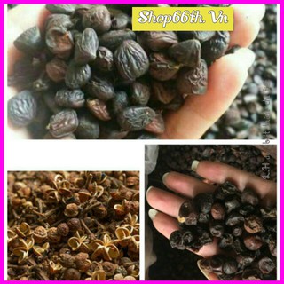 [HÀNG LOẠI 1] Quả mắc mật khô 100G - Móc mật khô HẠT TO Tây Bắc