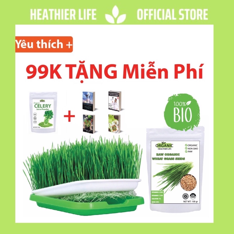 Hạt giống cỏ lúa mì hữu cơ + khay trồng+ quà 531k - HEATHIER LIFE