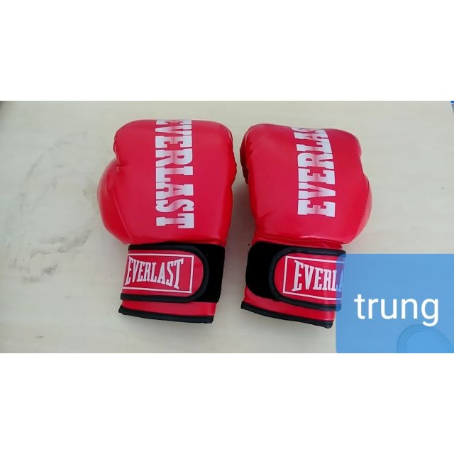 Găng đấm bốc Everlast  cho người lớn