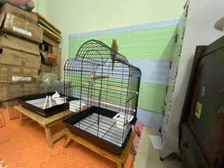 Lồng vẹt E2