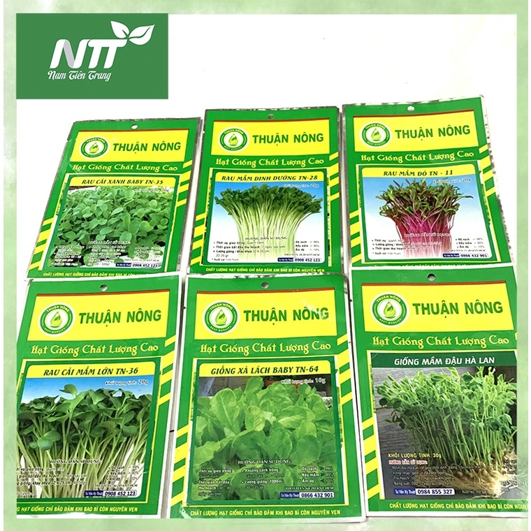 COMBO 10 gói hạt giống Rau Mầm dinh dưỡng  dễ trồng, ăn ngay sau 7 ngày. Hạt giống thuận nông