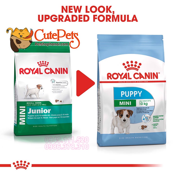 Hạt Royal Canin Mini junior 800g Thức ăn cho chó con từ Pháp - Phụ kiện thú cưng