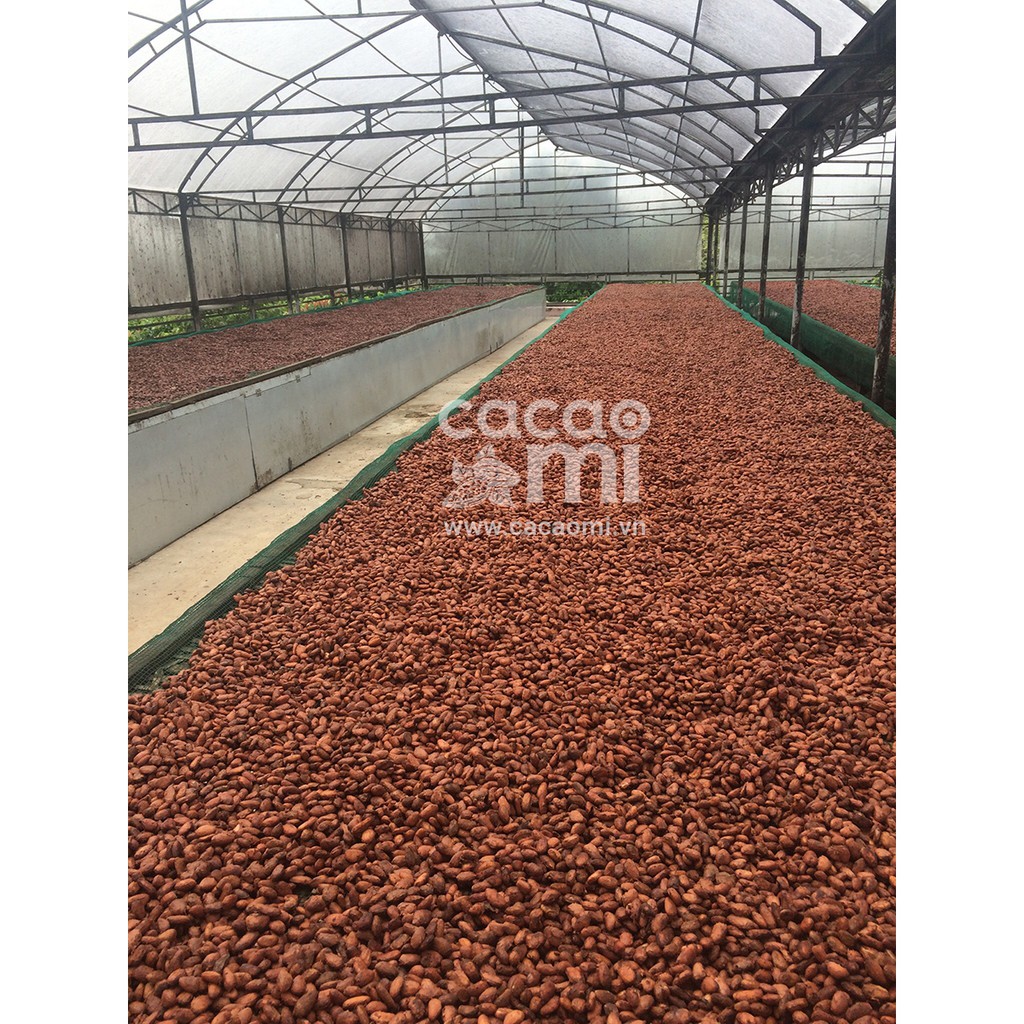 Bột cacao 100% nguyên chất không đường vị truyền thống CACAOMI Original - Chuẩn UTZ xuất khẩu 500g