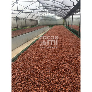 Bột Sữa Cacao Cacaomi 3in1 500g