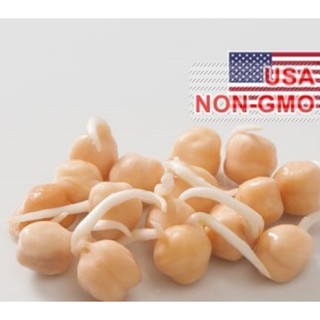 Hạt Giống Đậu Gà - Gói 10 hạt