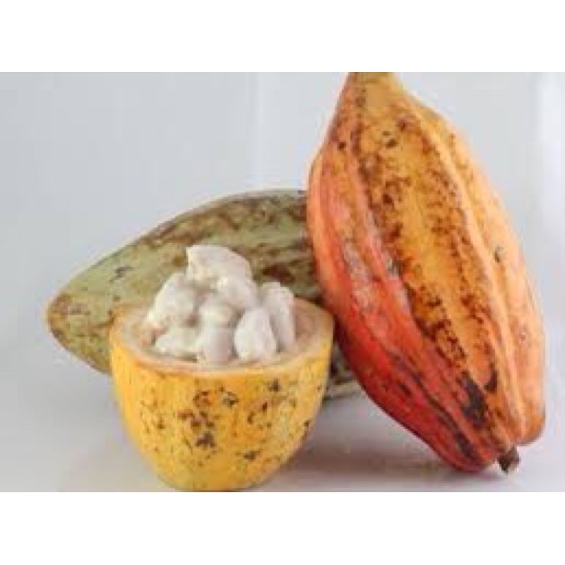 1 ký cacao tươi
