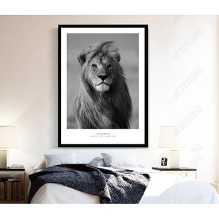 Tranh canvas treo tường sư tử tông trắng đen VIP45- 43 x 60 cm