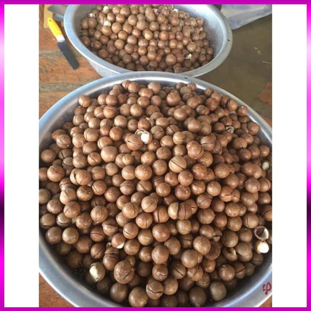 [ Bán Chạy Nhất ] Hạt Macca hảo hạng