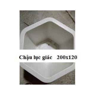 Combo 10 Chậu Nhựa Lục Giác Màu Trắng Bonsai  200x120 trồng hoa cây cảnh
