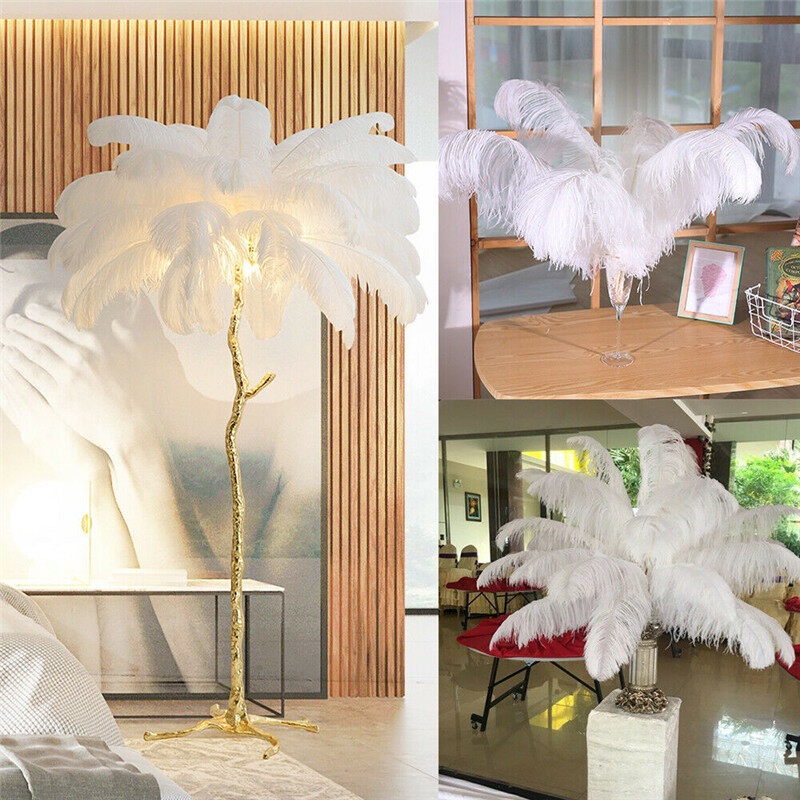 10 Chiếc/Bộ Lông Đà Điểu Tự Nhiên Đẹp Trang Trí Nhà Cửa Phòng Ngủ Phòng Khách Tiệc Cưới
