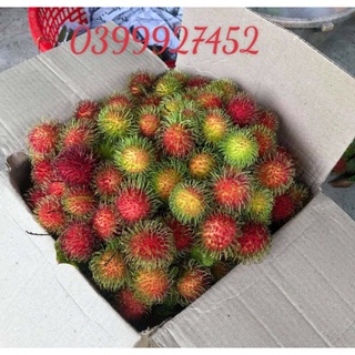 3Kg Chôm Chôm Thái ( Ngọt, Ngon)