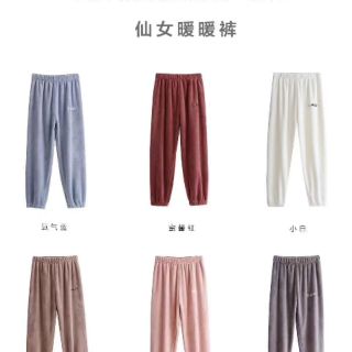 Combo quần quang hảo