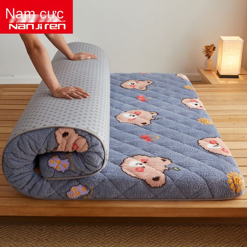 Đệm và Nam Cực cho gia đình mùa đông nhung dày ấm áp bằng cừu với bọt biển tatami cứng