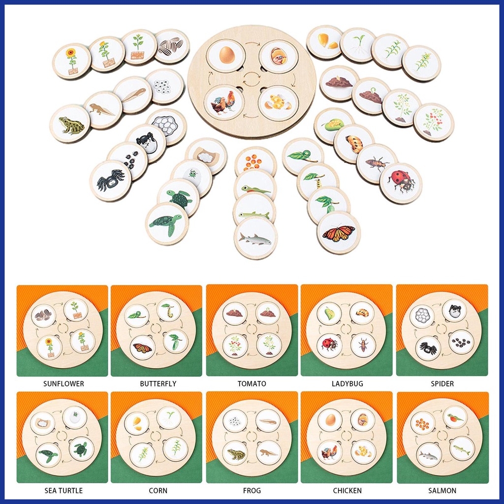 Bộ Đồ Chơi Xếp Hình Vòng Đời Của Đời Sống Bằng Gỗ Kèm Năm Ngăn Dành Cho Bé