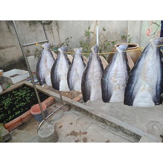 CÁ DỨA 1 NẮNG CẦN GIỜ (700gr-800gr)  (SHIP HCM-SIÊU TỐC)