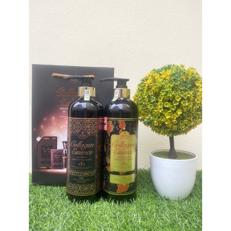 [CHÍNH HÃNG] Dầu Gội xả cặp yody Essence Colagen