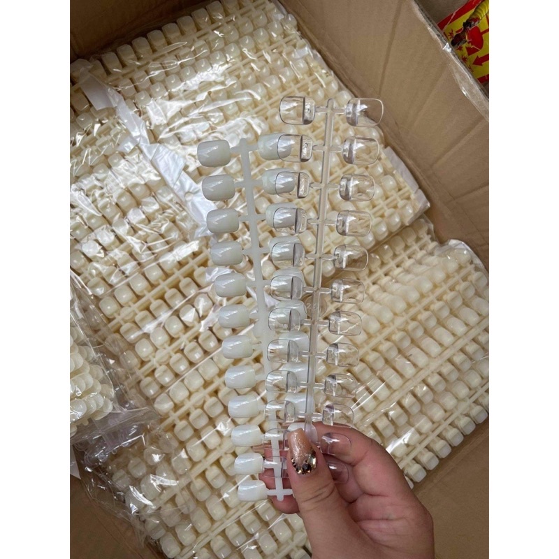 Set 240 móng mẫu vuông tập vẽ,móng tập vẽ nail