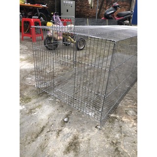 Lồng tập lực chim
