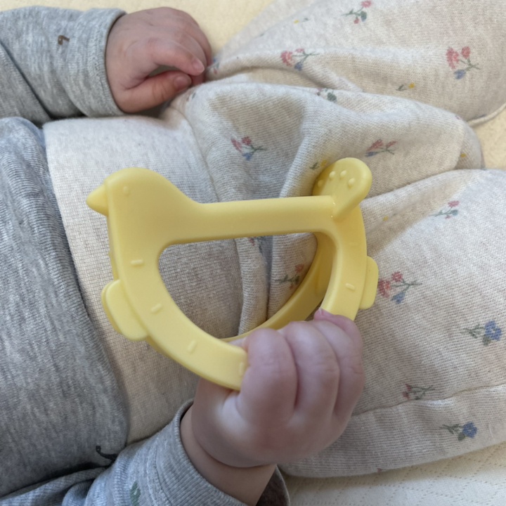 Set 2 gặm nướu Moyuum silicon cao cấp pony vàng và chim coral mới kèm hộp đựng