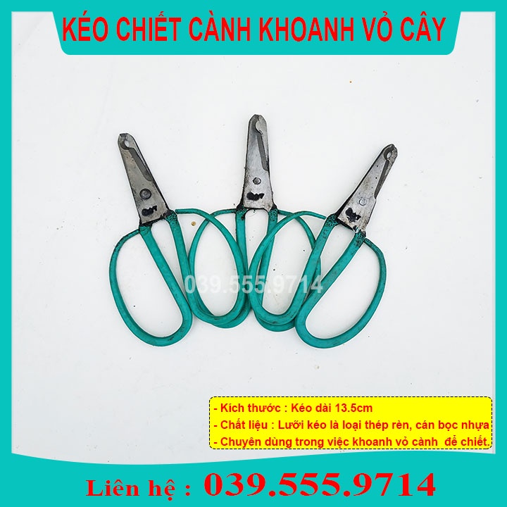 Kéo Khoanh Vỏ Chiết Cành Mini Cán Xanh Lưỡi Mịn - Dụng Cụ Làm Vườn Dễ Sử Dụng