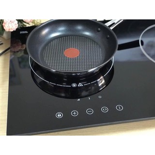 Bếp từ đôi Steba ik300, Bếp từ lắp âm