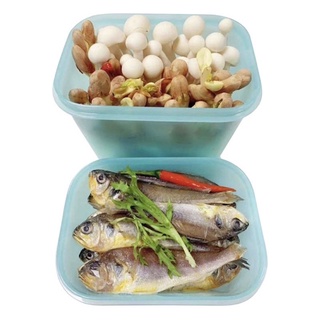 Tupperware trữ đông Gen II 1.1L