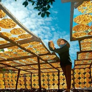 CHUỐI ÉP SẤY DẺO MỸ THO - 500gr