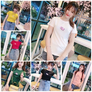 Áo thun thái thêu heo xinh xắn kute 100% chụp thật