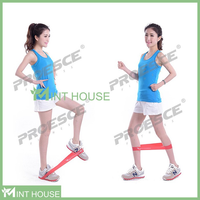 Dây Mini Band Proesce Fitness, Dây Kháng Lực Tập Mông Đùi