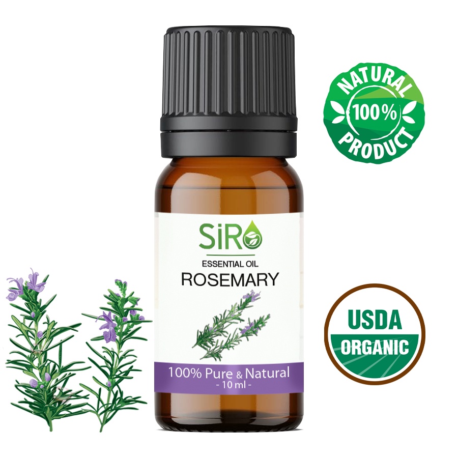 TINH DẦU HƯƠNG THẢO ROSEMARY