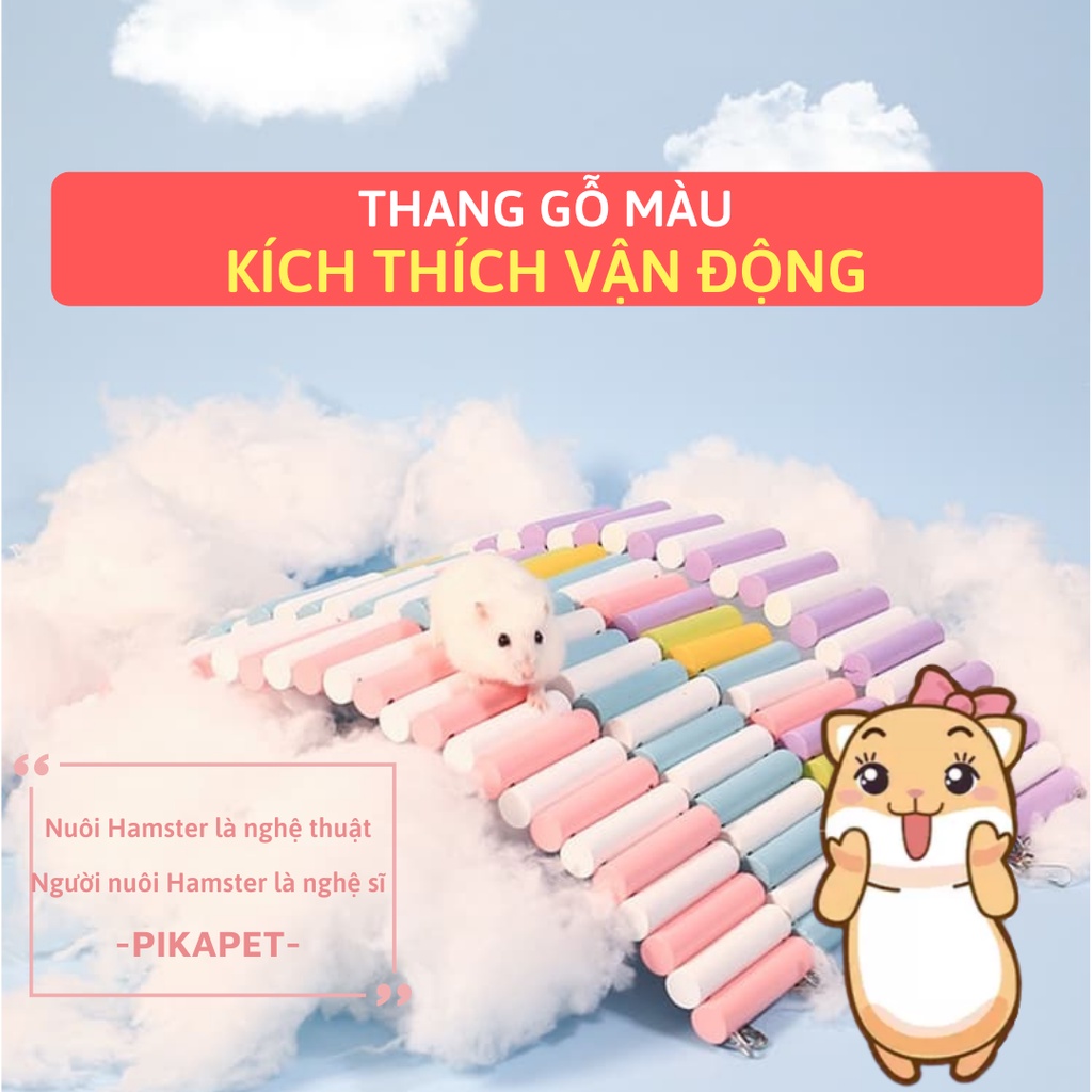 Thang gỗ màu trang trí lồng hamster.
