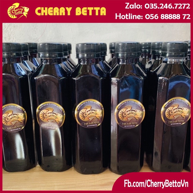 Nước sâm form betta, cá lóc sung khoẻ. Thay thế nước lá bàng