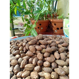 Hạt đười ươi bay 100gr