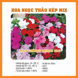 Hạt Giống Hoa Ngọc Thảo Kép Mix (Mai Địa Thảo) - 20 Hạt