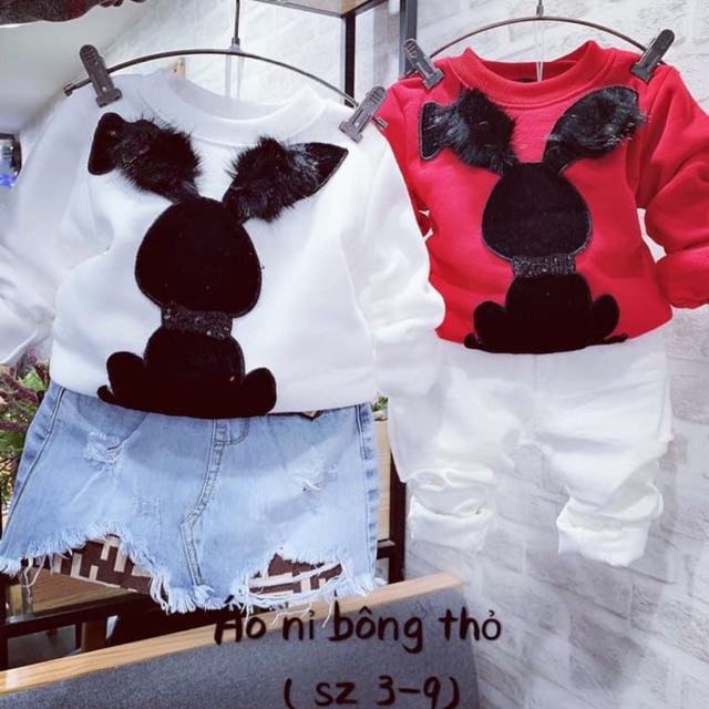 Áo nỉ lót lông