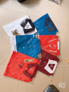 Áo viettien cổ trụ