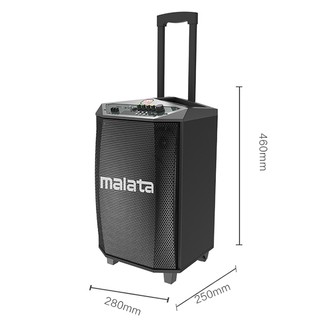 Loa kéo di động Malata 9015A