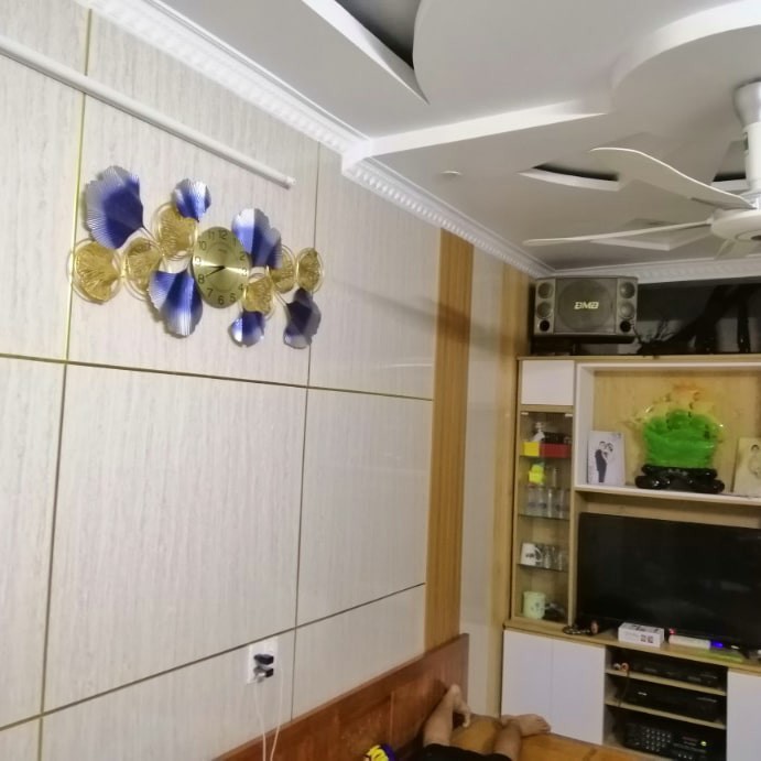 Đồng Hồ Treo Tường Nghệ Thuật Shouse Đẹp DC555 kim trôi quartz trang trí cho phòng khách