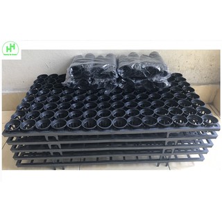 Combo 5 Vỉ Nhựa Đựng Chậu Mô 4cm – 560 Lỗ Trồng Hoa Lan